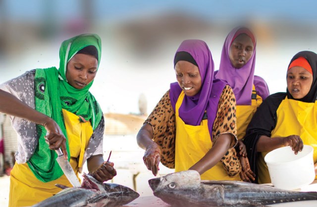 Local business, Local Peace   the peace building potential of domestic private sector, somalia