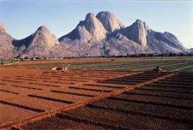 Financial policies to enhance agricultural production in Sudan