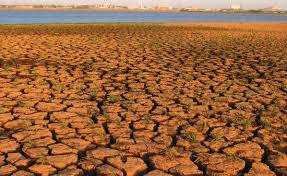 Agricultural production and trade under climate change in Sudan