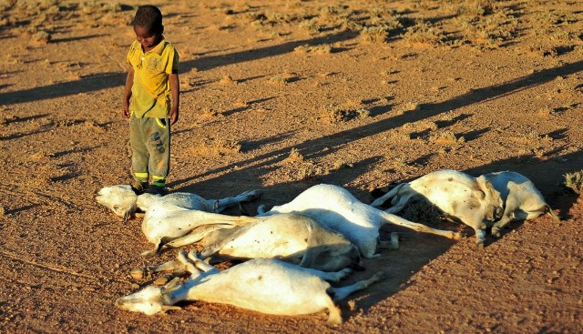 Drought conditions and management strategies in Sudan