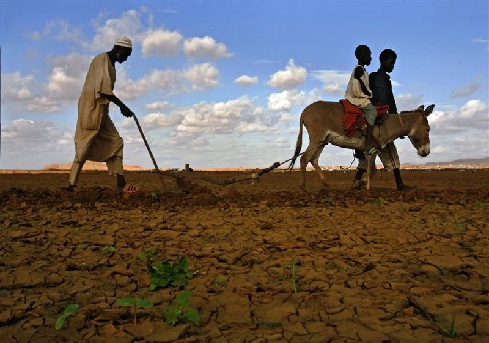 Land and the Sudanese transition to peace