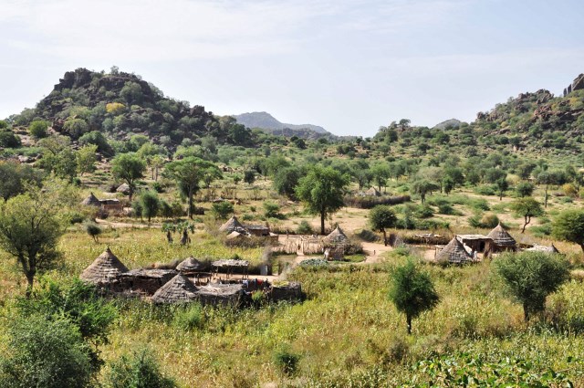 A bitter harvest and grounds for reform   the Nuba mountains, conflicted land and transitional Sudan