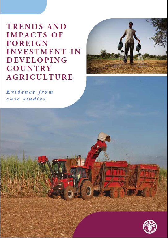Trends and impacts of foreign investments in developing country agriculture – Evidence from case studies