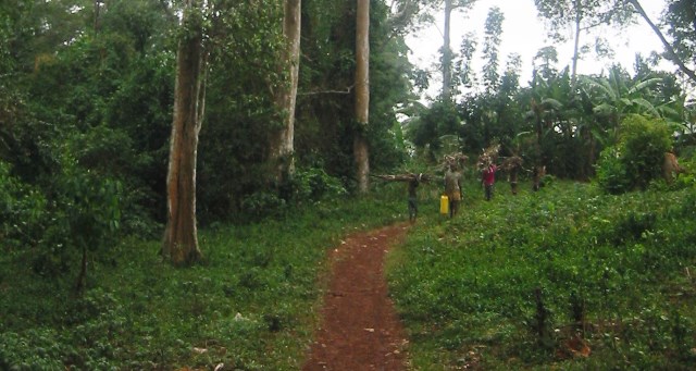 Status and trends in Chinese investments that impact forestland use in Uganda