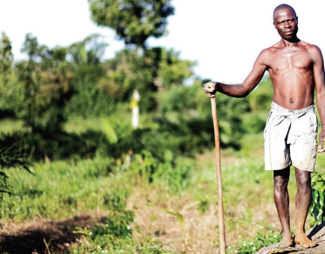 Land grabbing for palm oil in Uganda