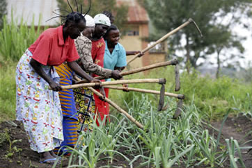 Women, Marriage and Asset Inheritance in Uganda