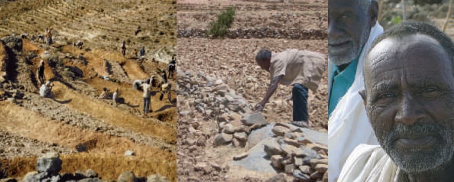Land Management in the Central Highlands of Eritrea
