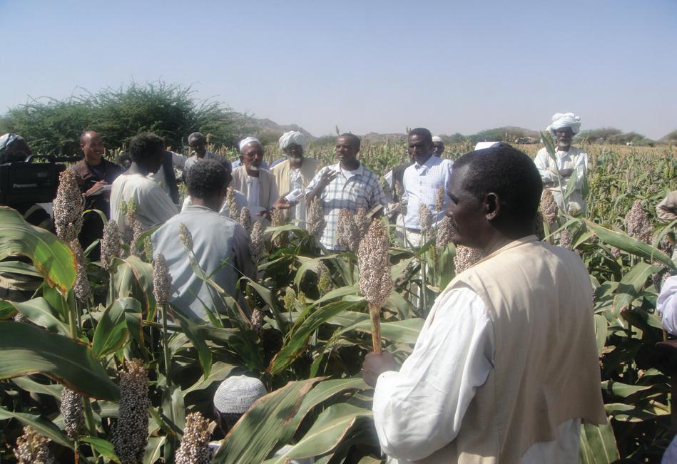 Challenges for Food Security in Eritrea – A Descriptive and Qualitative Analysis