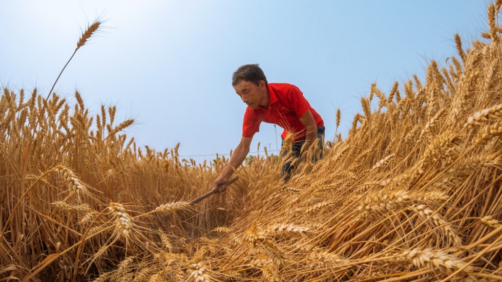 An Overview of Chinese Agricultural and Rural Engagement in Ethiopia