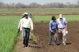 Twenty first Century Land Deals for Agro Investment in Ethiopia