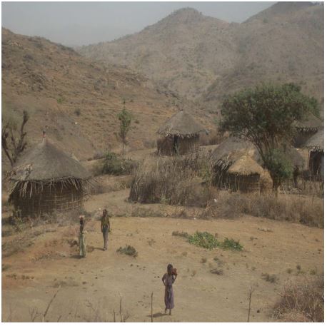 Female Headed Households and Their Livelihood in Bati Wäräda, South Wollo Practices and Resistance