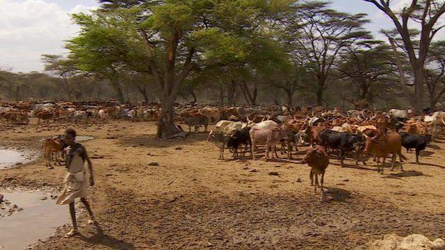 A Thirsty Third World  How Land Grabs Are Leaving Ethiopia in the Dust