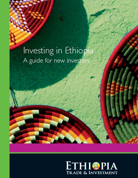 Investing in Ethiopia  A Guide for New Investors