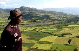 Land Grabbing and Labour Relations  The Case of the Benishangul Gumuz Region, Ethiopia