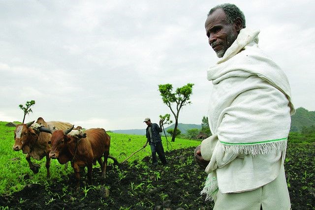 Land Grabbing by Foreign Investors in Developing Countries  Risks and Opportunities