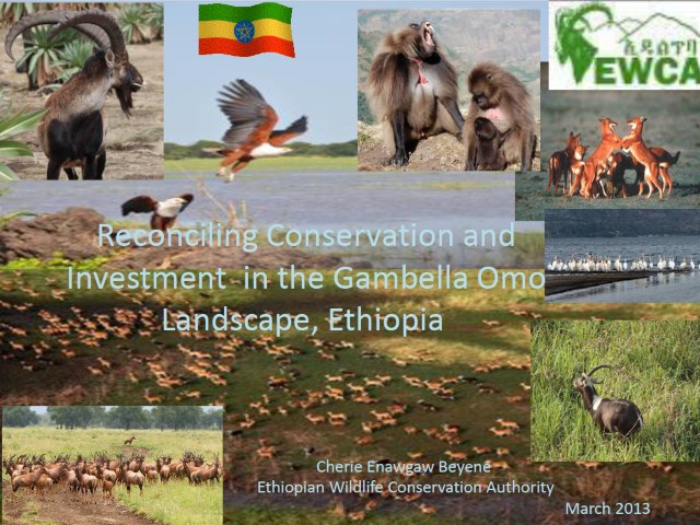 Reconciling Conservation and Investment in the Gambella Omo Landscape, Ethiopia