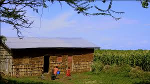 Control and Ownership of Assets Within Rural Ethiopian Households