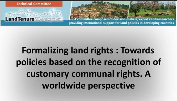 Formalising Land Rights in Developing Countries: Moving from Past Controversies to Future Strategies