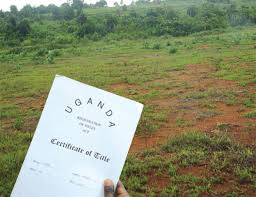 Land Tenure under transition   Tenure security, land institutions and economic activity in Uganda